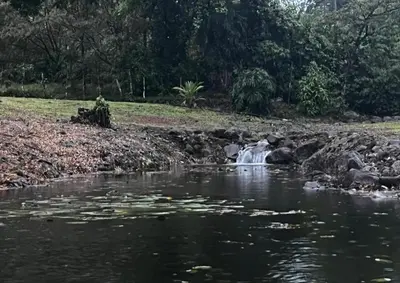 a river with a waterfall in a park at Picki's Cabin in Guácimo