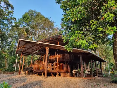 a wooden house with a deck in the woods at Cabaña del Bosque in Tapantí