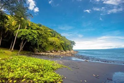 a beach with a group of trees and the ocean at Romantic 1BR Studio Guesthouse with 3 Shared Pools, Beach and Resort Access in Ocotal