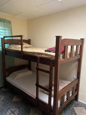 two bunk beds are in a room with a wall at Close to Walmart supermarket chain in San Pablo
