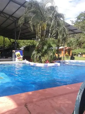 a palm tree sitting next to a swimming pool at Hotel Maguey in Chilamate
