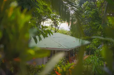 a building with a green roof in a forest at Hotel Cerro Lodge in Tarcoles