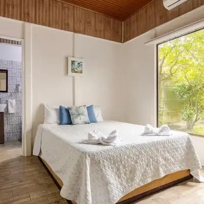Apartamentos Ranas y Ranitas