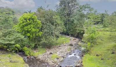 a river in the middle of a field with trees at Casa Esmeralda-5min to La Fortuna,King beds & pool in Fortuna