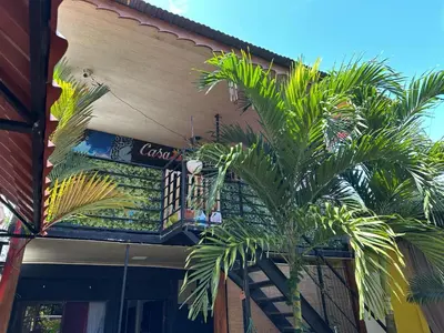 a palm tree in front of a building at Arrecife in Tapantí