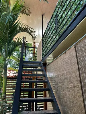 a staircase leading up to a house with a palm tree at Arrecife in Tapantí