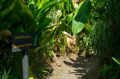 a sign in the middle of a forest with plants at Laguna Lodge Full Board in Tortuguero