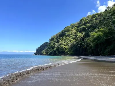 a beach with trees and the ocean on a sunny day at Modern Beach Apartment - Walk to Playa Mantas & Beach Club Access in Punta Leona