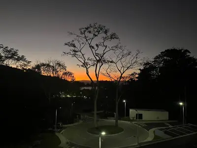 a tree in a parking lot with the sunset in the background at Modern Beach Apartment - Walk to Playa Mantas & Beach Club Access in Punta Leona