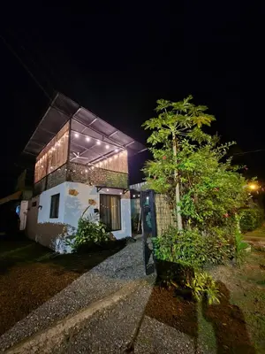 a building with a tree in front of it at night at La Casa de Pepa y Poli with Jacuzzi and free bikes in Uvita
