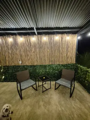 two chairs and a table and a dog in a room at La Casa de Pepa y Poli with Jacuzzi and free bikes in Uvita
