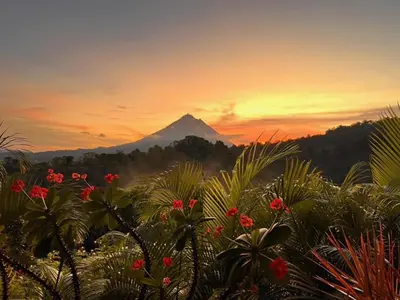 a view of a mountain at sunset with flowers at Romantic Retreat Volcano View! River Trail! in El Castillo de la Fortuna