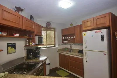 a kitchen with wooden cabinets and a white refrigerator at Firefly Hilltop Retreat, Swimming Pool Volcano! in El Castillo de La Fortuna