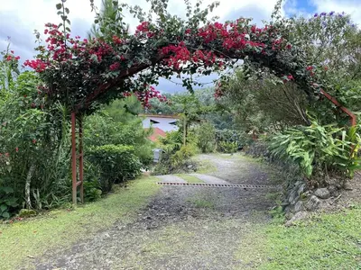 a garden with a floral arch with pink flowers at Laughing Falcon Studio in El Castillo de La Fortuna