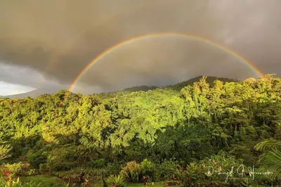 a rainbow in the sky over a forest at Laughing Falcon Studio in El Castillo de La Fortuna