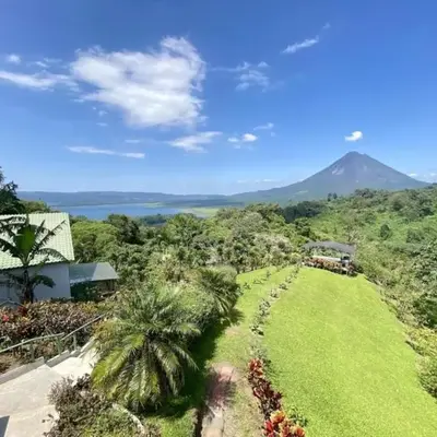 Arenal Birdsong