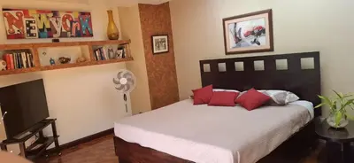 a bedroom with a bed with red pillows and a fan at Bed and breakfast close to airport, beaches and attractions in Alajuela City