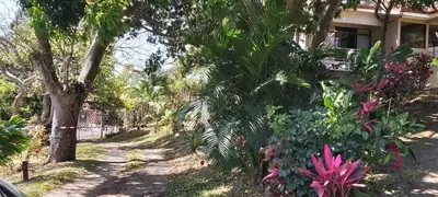 a house with trees and flowers in front of it at Bed and breakfast close to airport, beaches and attractions in Alajuela City