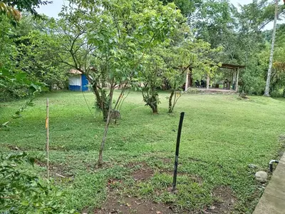 a garden with two trees in the grass at Casa de Campo en Rivas de Pérez Zeledon in Rivas