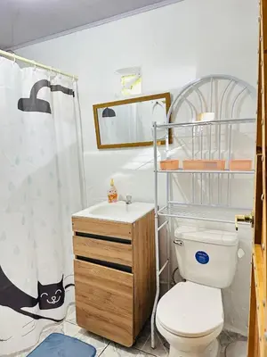 a bathroom with a toilet and a sink at Casa de Campo en Rivas de Pérez Zeledon in Rivas