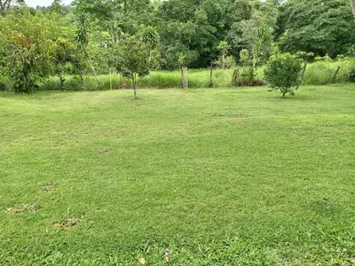 a large field of green grass with trees in the background at Casa de Campo en Rivas de Pérez Zeledon in Rivas