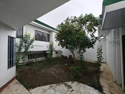 a courtyard with a tree in front of a building at House in Rohrmoser near the National Stadium of CR in San José
