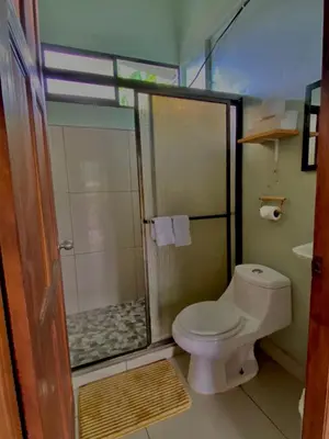 a bathroom with a toilet and a shower at Casa mariposa in Uvita