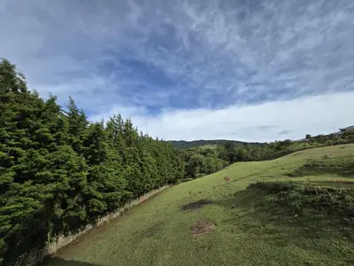 a green field with trees on the side of a hill at Monteluna Fraijanes in Poasito