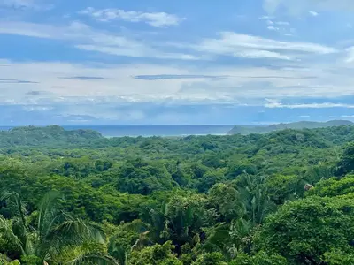 a view of a jungle with the ocean in the background at Casa Niri in Nicoya