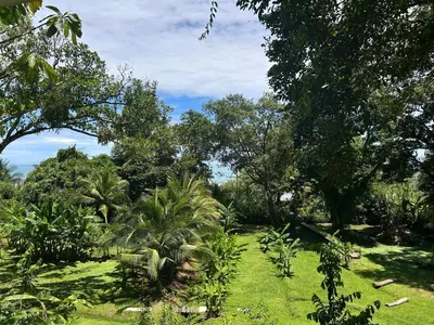 Gallery image of Delfín del Sendero in Ballena