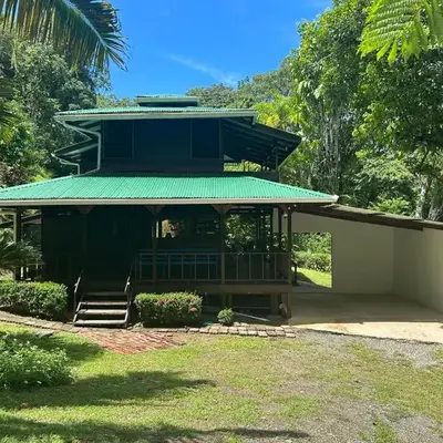 Delfín del Sendero