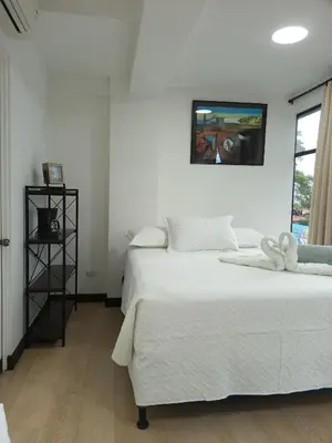 Gallery image of Apartahotel del Paseo in San José