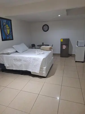 Gallery image of Apartahotel del Paseo in San José