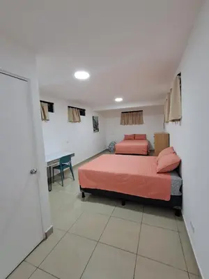 Gallery image of Apartahotel del Paseo in San José