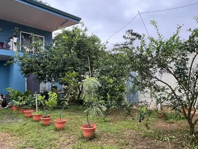a row of potted plants in front of a house at Villa Binomio in Naranjito