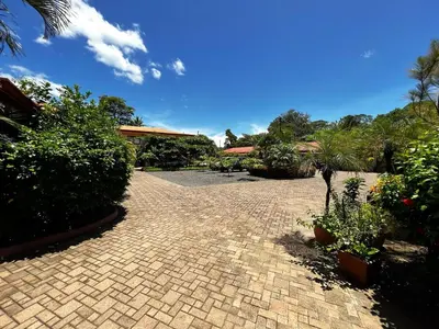 a brick driveway with plants and trees and a building at Casa Serena! in Coco