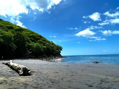 a beach with a log on the sand and the ocean at Casa Serena! in Coco