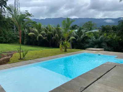 a large blue swimming pool in a yard with palm trees at La Casa Mokarran in Ojochal