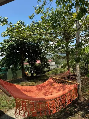 an orange hammock in a yard next to a tree at Casa de descanso in San Pablo