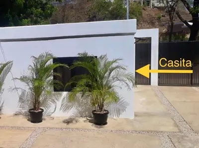 two palm trees in pots in front of a building at Whitestone Parkview Tamarindo in Tamarindo