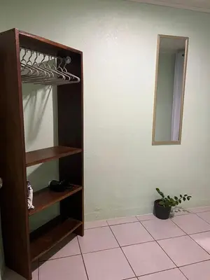 a shelf in a room with a mirror and a plant at Casa de Campo Nara in Fortuna