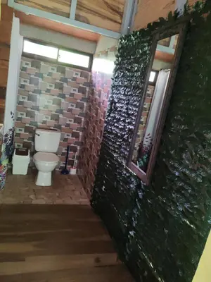 a bathroom with a toilet and a wall covered in plants at Cabaña nido de amor escondida en la naturaleza in San Francisco