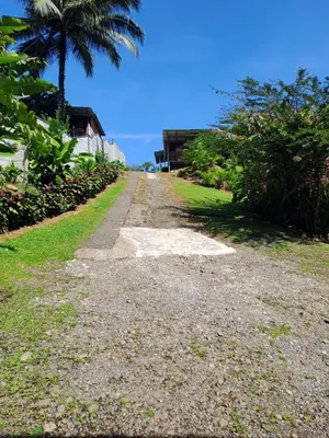 a dirt road with a palm tree in the distance at Cabaña nido de amor escondida en la naturaleza in San Francisco