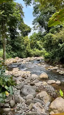 a stream of water with rocks and trees at Cabaña nido de amor escondida en la naturaleza in San Francisco