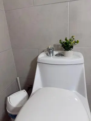 a white toilet with a plant on top of it at Beautiful loft in San José in San José