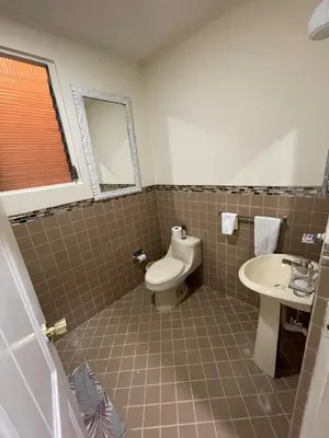 a bathroom with a toilet and a sink at Mini-apartment located in the heart of San José in San José