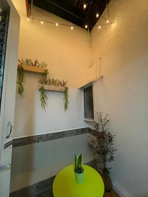 a green table with a plant on a wall at Mini-apartment located in the heart of San José in San José
