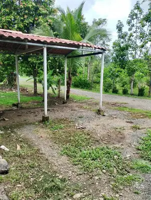 a pavilion on the side of a road at Casa de árbol familiosa in Tapantí