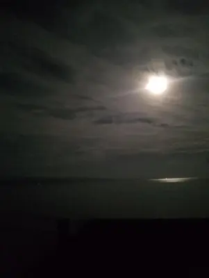a moon in the sky over the ocean at night at Casa de árbol familiosa in Tapantí
