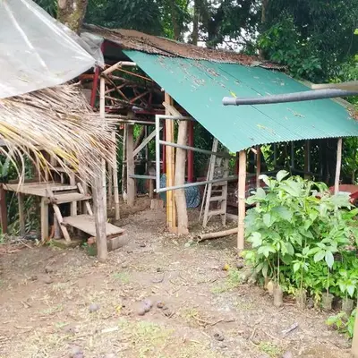Casa de árbol familiosa